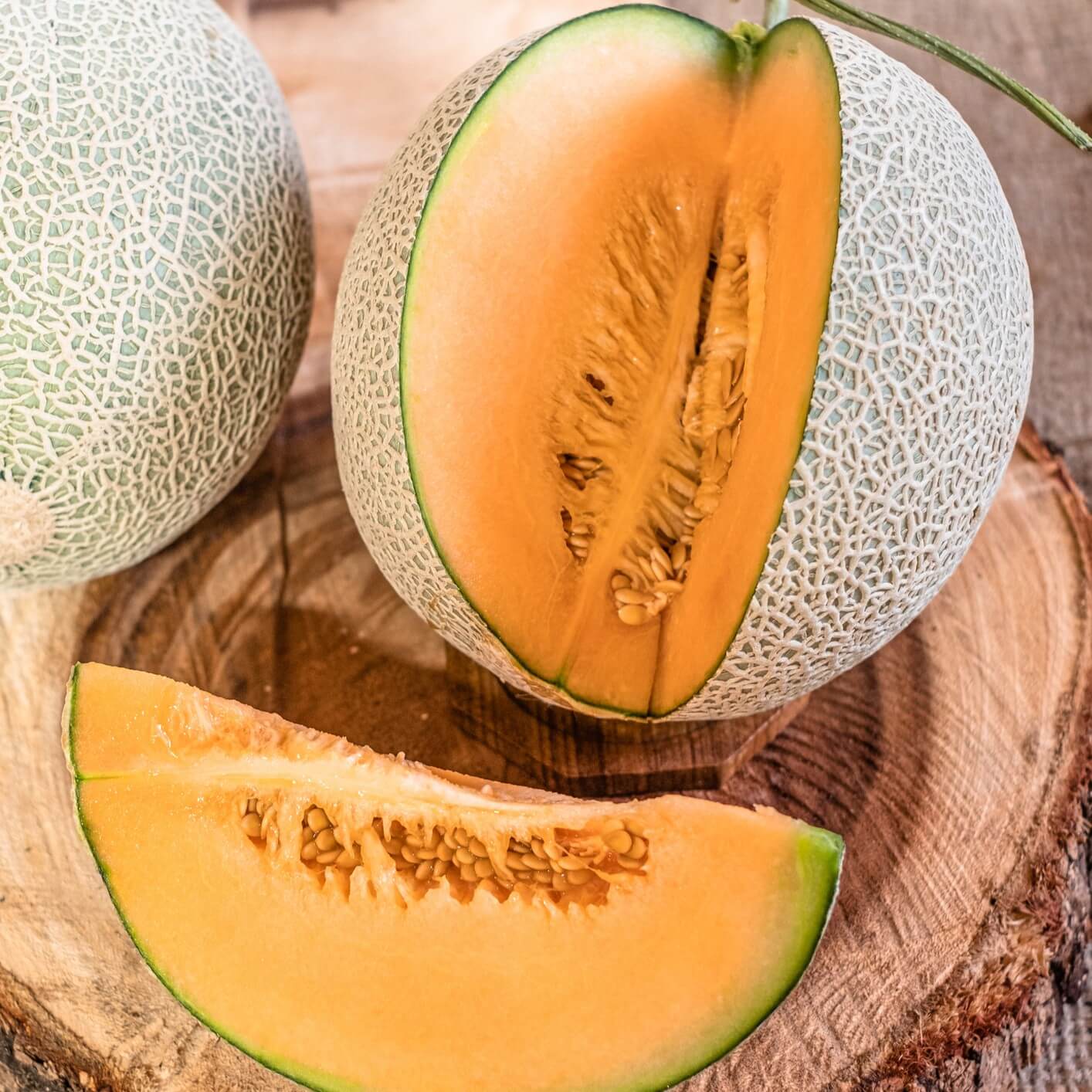 Melon Seeds – Charentais Cantaloupe