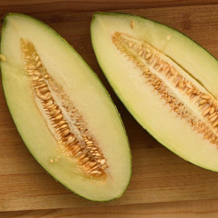 Melon Seeds – Gold Banana
