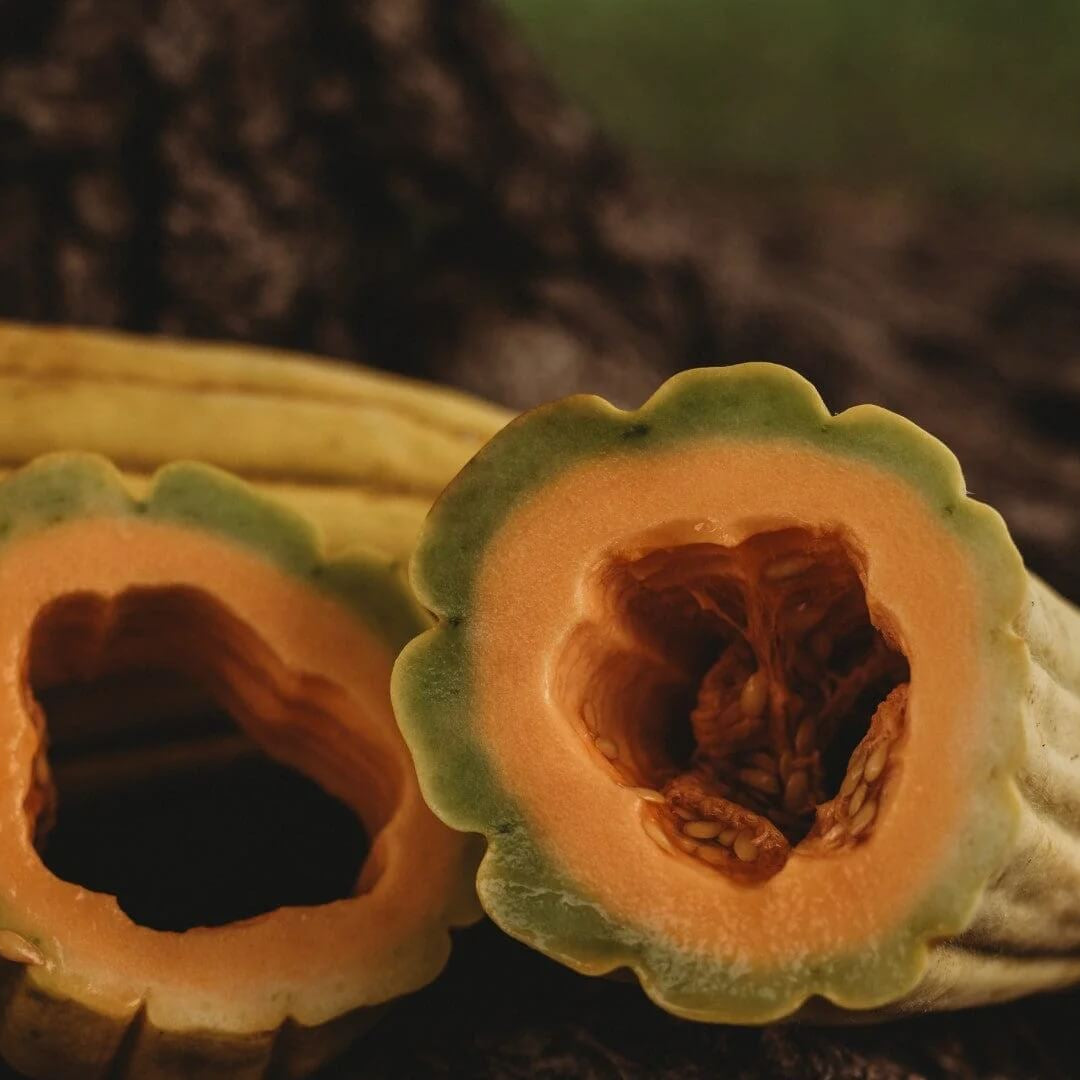 Melon Seeds – Gold Banana