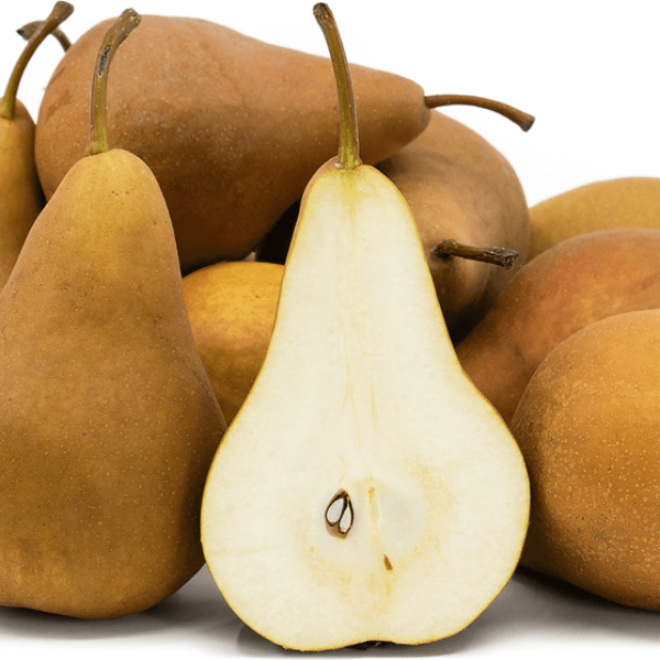 Melon Seeds – Golden Russet Pear