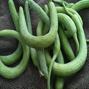 Melon Seeds – Green Long