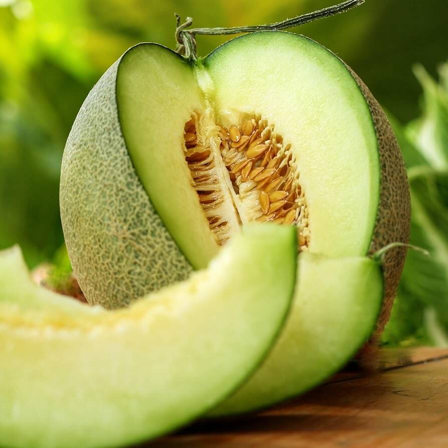 Melon Seeds – Green Muskmelon
