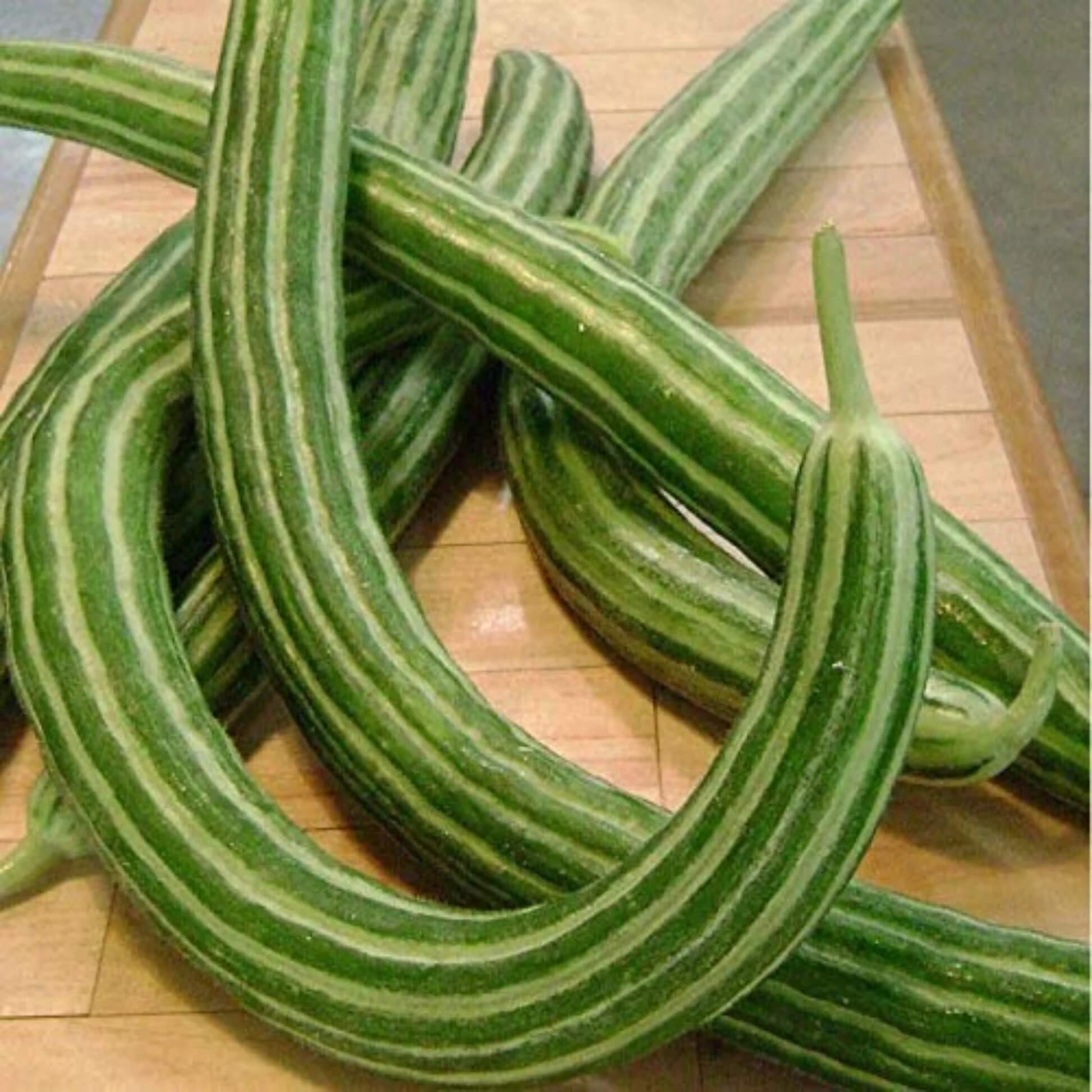 Melon Seeds – Green Serpent