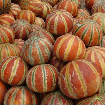 Melon Seeds – Kajari