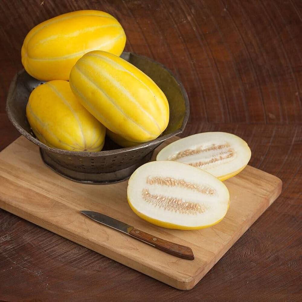 Melon Seeds – Korean