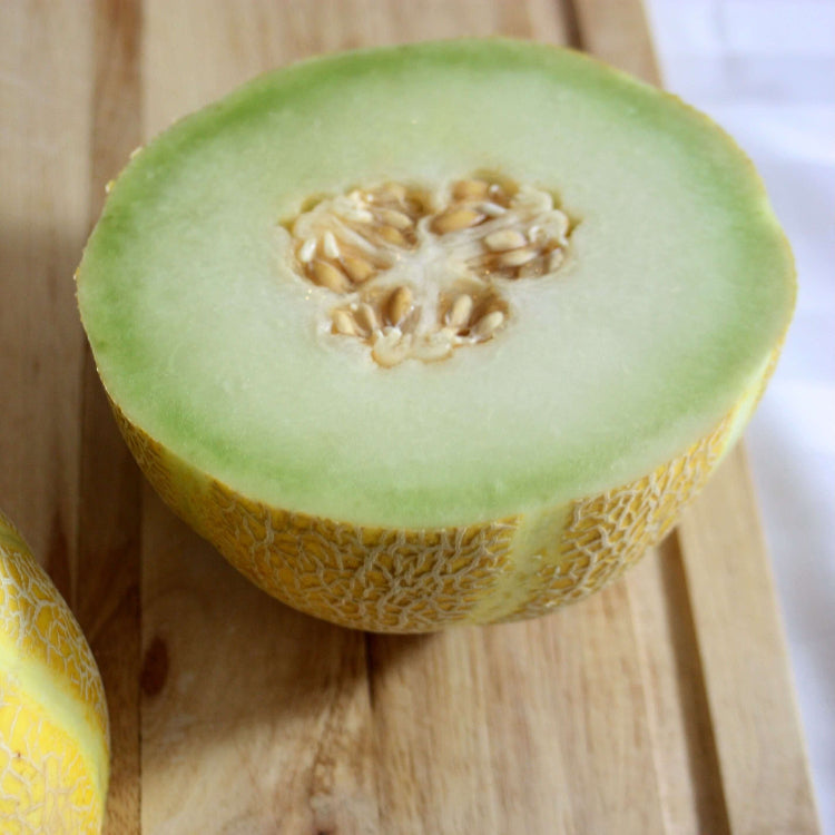 Melon Seeds – Lemon Drop