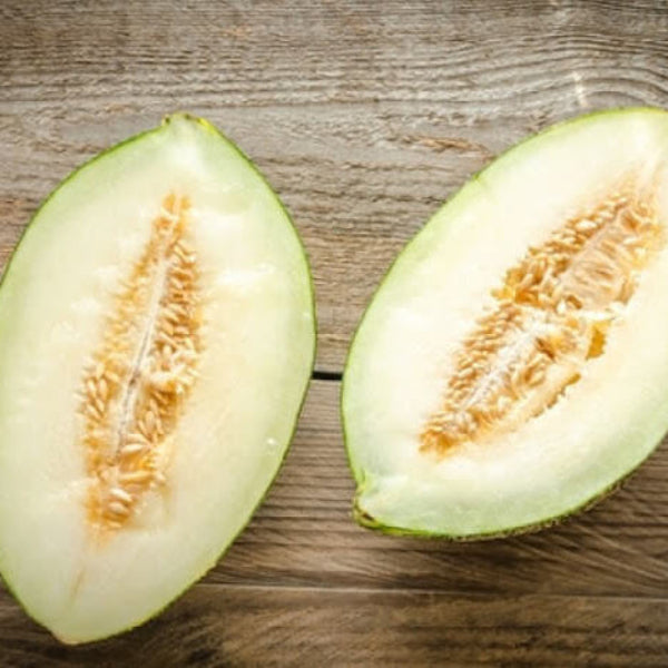 Melon Seeds – Lesya