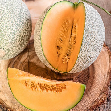 Melon Seeds – Light Orange Cantaloupe