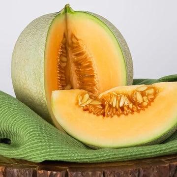 Melon Seeds – Loupe