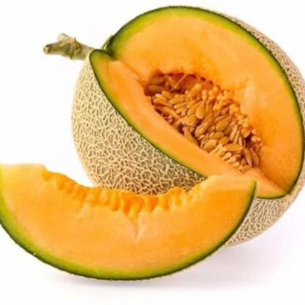 Melon Seeds – Loupe