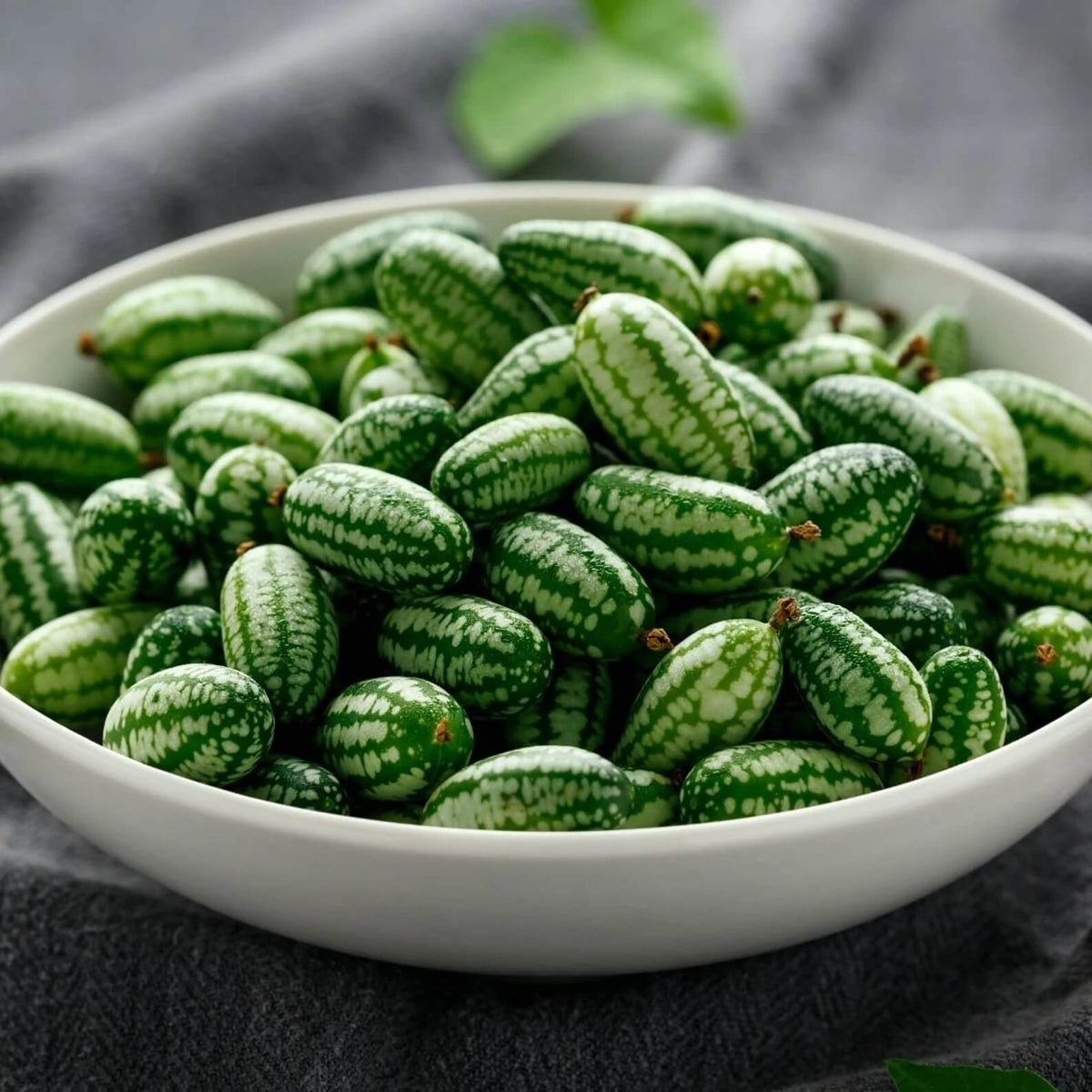 Mini Melon Mini Melon Seeds | Small Fruit Garden Melon Variety