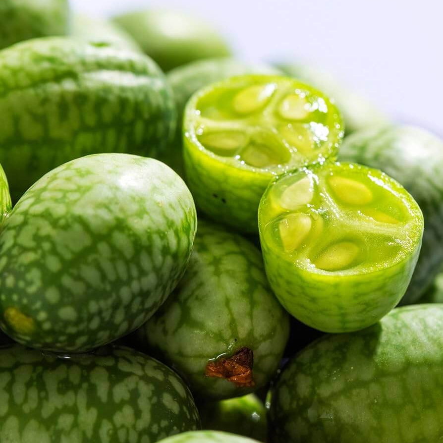 Mini Melon Mini Melon Seeds | Small Fruit Garden Melon Variety