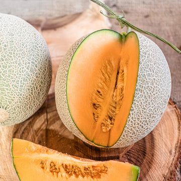 Melon Seeds – Orange Cantaloupe