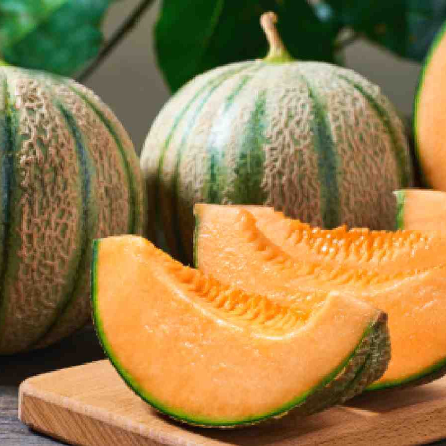 Melon Seeds – Orange Cantalupo Almizcle