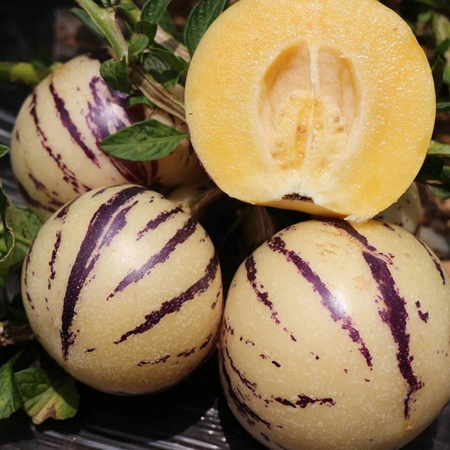 Melon Seeds – Pear