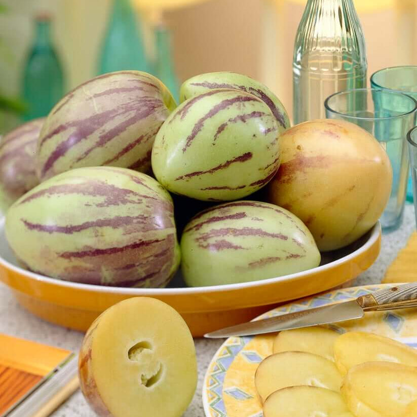 Melon Seeds – Pear