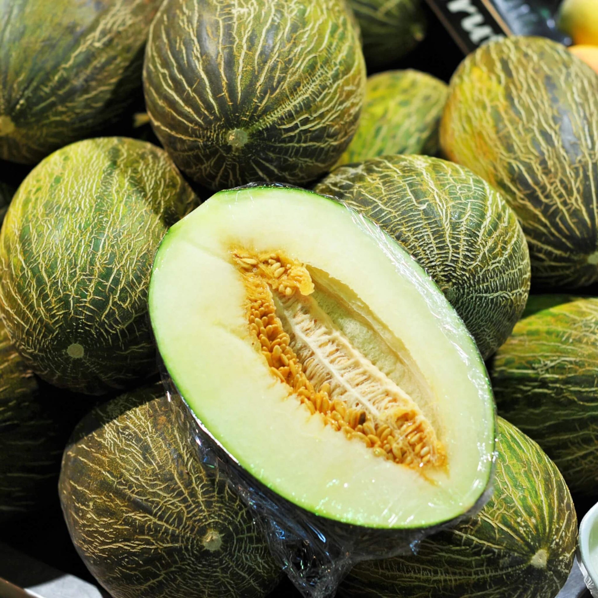 Melon Seeds – Piel de Sapo