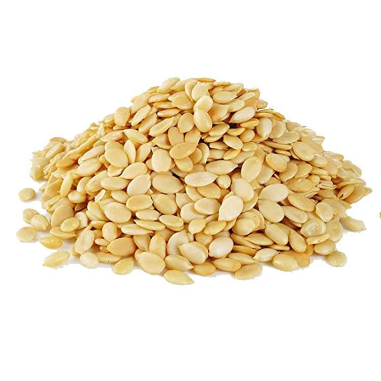 Melon Seeds - All In One For Home Gardens