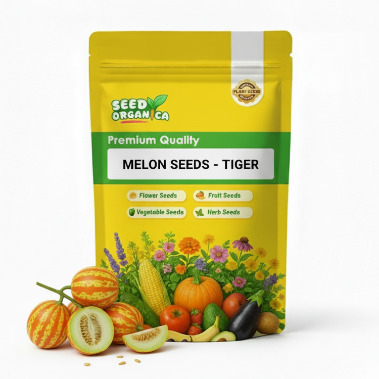 Melon Seeds - Tiger