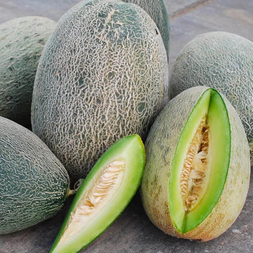 Melon Seeds – Bateekh Samara