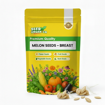 Melon Seeds – Breast