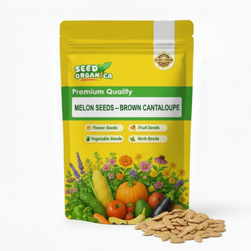 Melon Seeds – Brown Cantaloupe