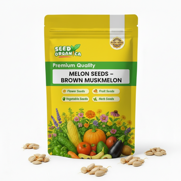 Melon Seeds – Brown Muskmelon