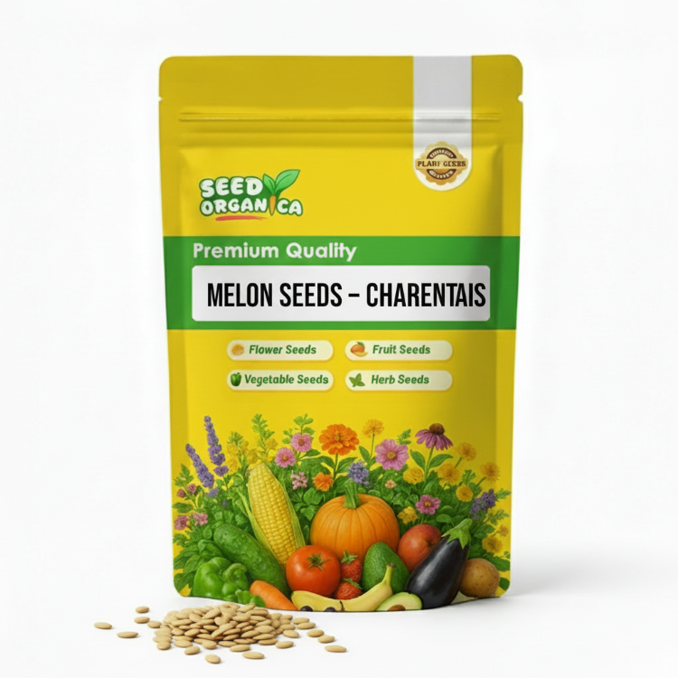 Melon Seeds – Charentais