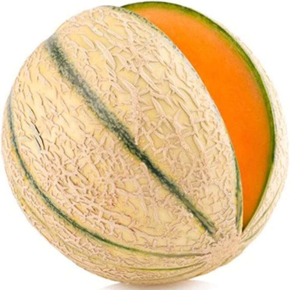 Melon Seeds – Charentais Cantaloupe