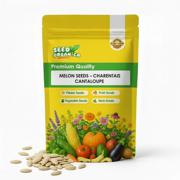 Melon Seeds – Charentais Cantaloupe