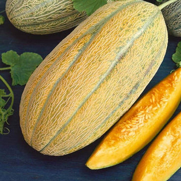 Melon Seeds – Gold Banana
