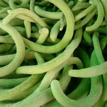 Melon Seeds – Green Long