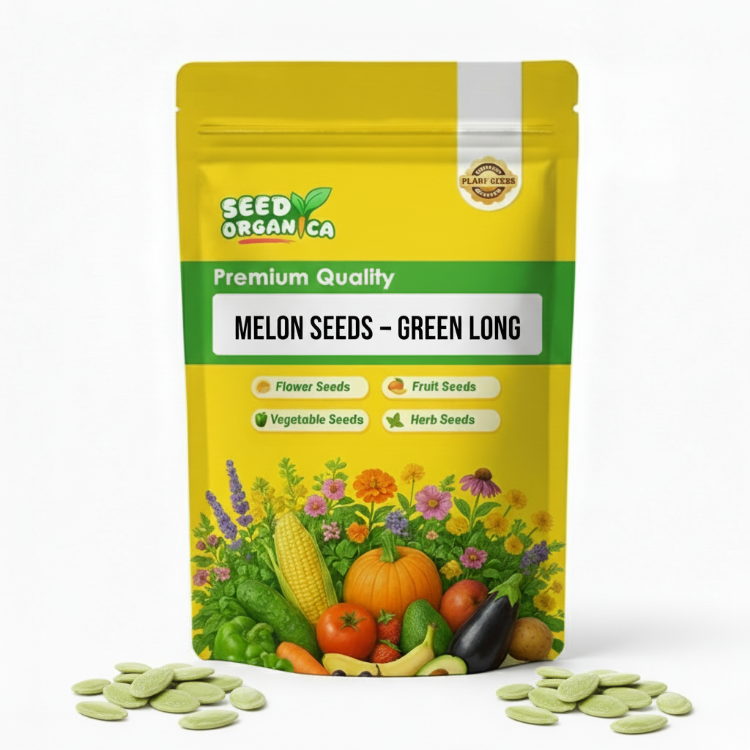 Melon Seeds – Green Long