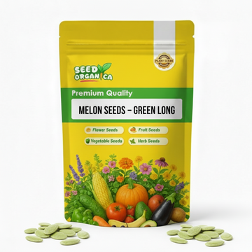 Melon Seeds – Green Long