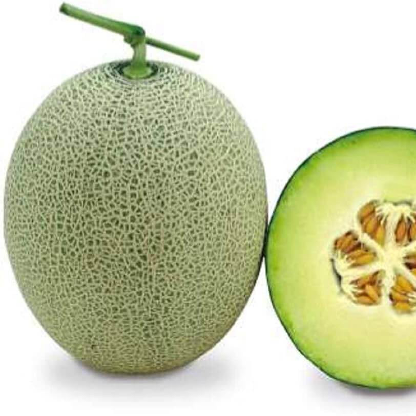Melon Seeds – Green Muskmelon