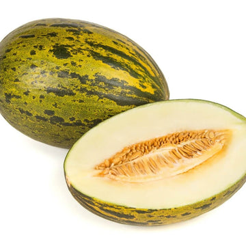 Melon Seeds – Green Toadskin