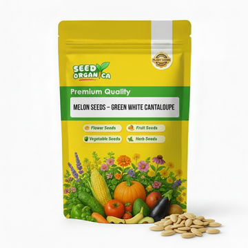 Melon Seeds – Green White Cantaloupe