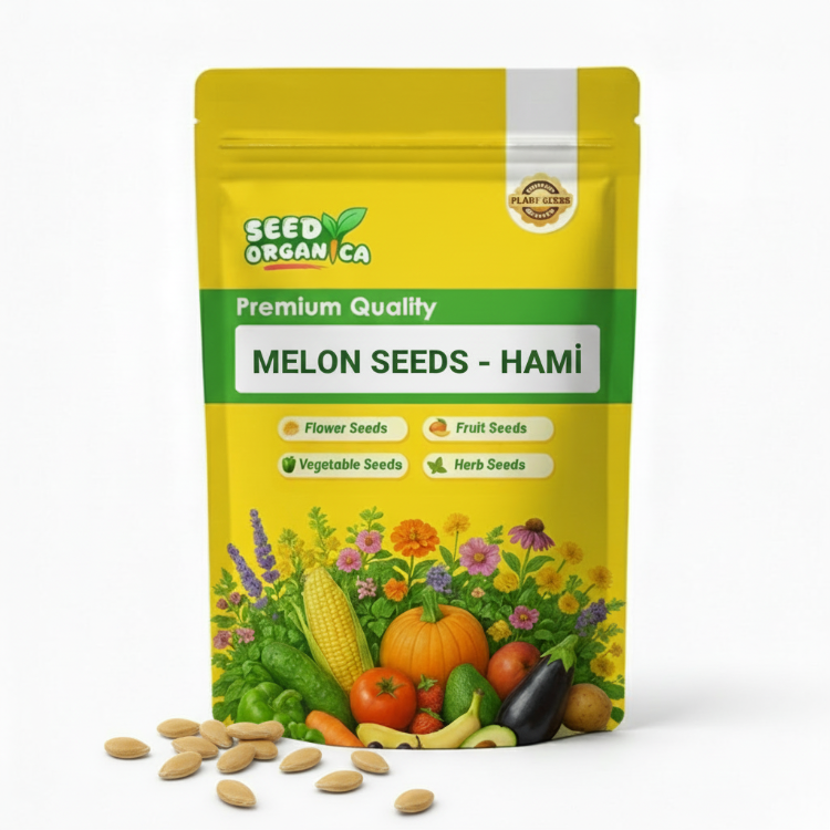 Melon Seeds – Hami