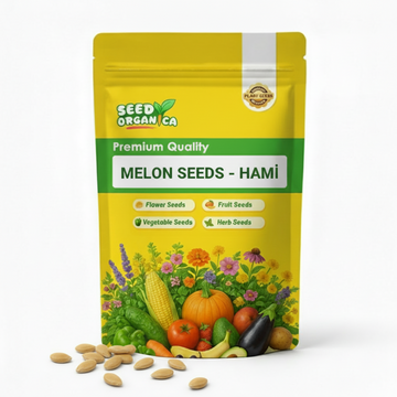 Melon Seeds – Hami