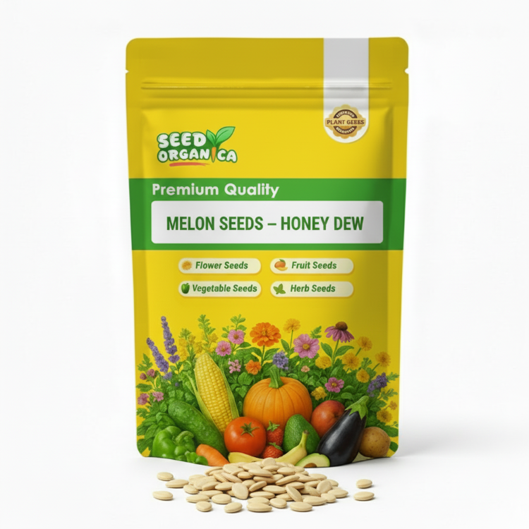 Melon Seeds – Honey Dew