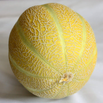 Melon Seeds – Lemon Drop