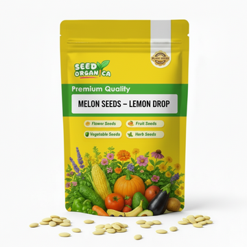 Melon Seeds – Lemon Drop