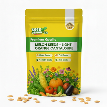 Melon Seeds – Light Orange Cantaloupe