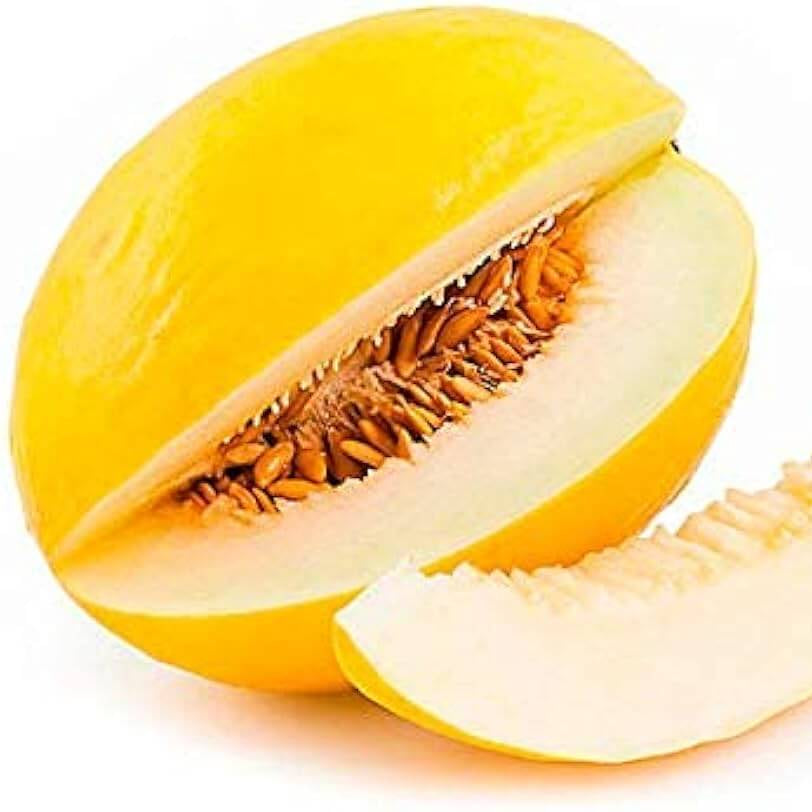 Melon Seeds – Light Yellow Cantaloupe