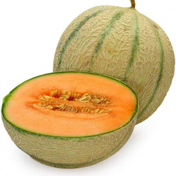 Melon Seeds – Loupe