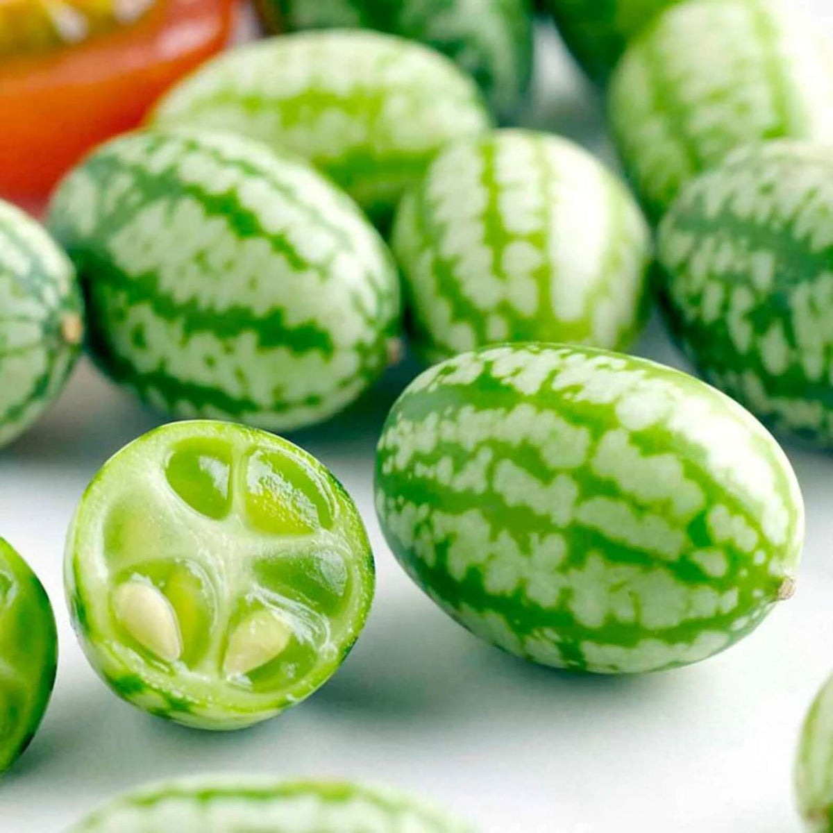 Mini Melon Mini Melon Seeds | Small Fruit Garden Melon Variety