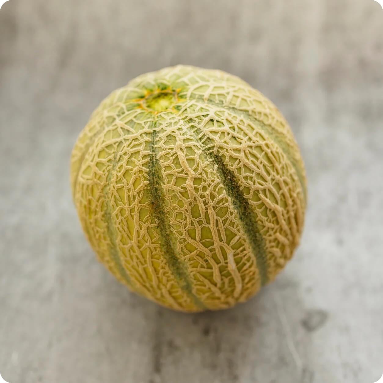 Melon Seeds – Minnesota