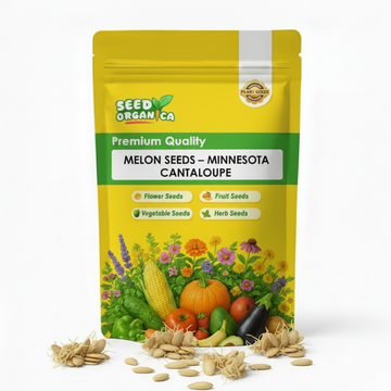 Melon Seeds – Minnesota Cantaloupe