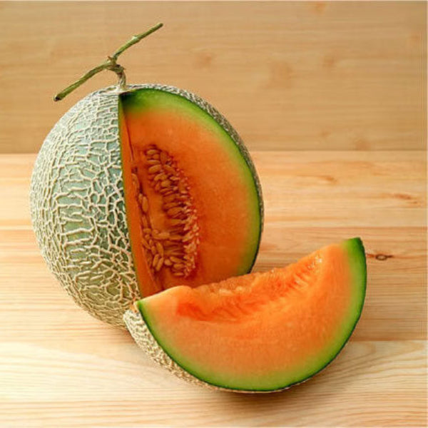 Melon Seeds – Musk