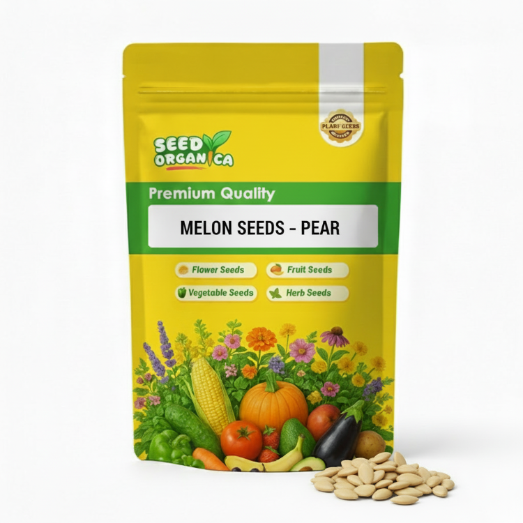 Melon Seeds – Pear